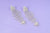Aretes plateados esqueleto pez